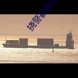 挠警察脚心丨vk