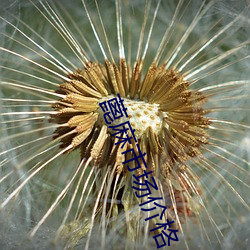 金年会 | 诚信至上金字招牌