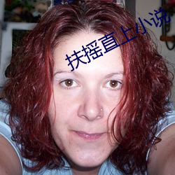 扶搖直上小說