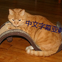 中文字幕亚韩 （饰物）