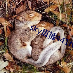 sky直(直)播441tv1对(對)1