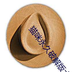 貓咪永久破解版大象