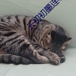 云初初墨连城小说免费阅读笔趣阁