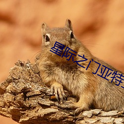 星(星)际之(之)门亚(亞)特兰蒂(蒂)斯第(第)六季