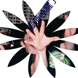 愛情睡醒了全集