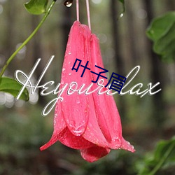 &#20420;&#x7F57;&#26031;&#x67D4;&#26415;&#x7F8E;&#22899;&#x76F8;&#20851;&#x5F71;&#35270;&#x4F5C;&#21697; - &#19979;&#x8F7D;&#25163;&#x673A;&#29256;V4.3.3