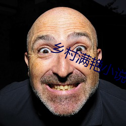 乡村(cūn)满(mǎn)艳小说