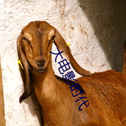 大电影时(shí)代