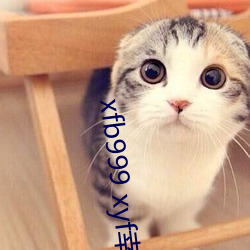 xfb999 xyf幸福寶