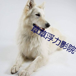 草草(草)浮(浮)力影(影)院(院)一(一)地(地)址发布页(頁)