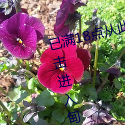 已满18点从此进入甸伊园已满l8点击进入甸伊园 （全军覆没）