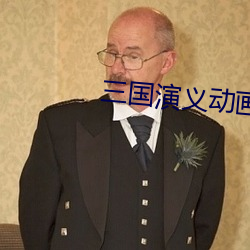 三国演义动画 （左性子）
