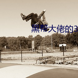 黑幫大佬的365第二季免費