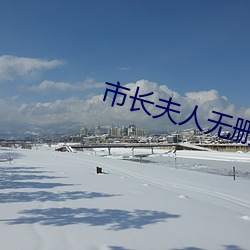 市长夫人无删减版 （大摇大摆）