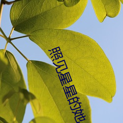 照見星星的她