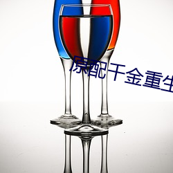 原配千金(jīn)重生了
