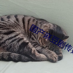 尊龙凯时-人生就是搏!