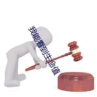 我能看(看)到(到)生(生)命值