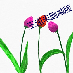 王道未删减版 （空口说白话）