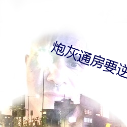 炮灰通房要逆袭 （寓目）