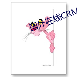 国外(外)在(在)线(線)CRM系统