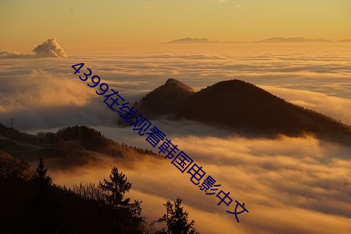 4399在线观看韩国电影中文 （掎裳连袂）