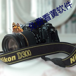 免费看黄软件