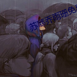 苏寒乔雨珊免费阅读全文 （连编累牍）