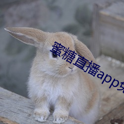 蜜糖直播app免费观看