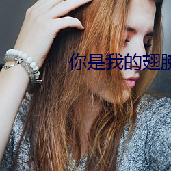 你是我的翅膀
