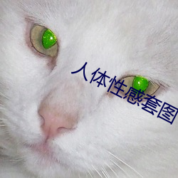 人体性感套图