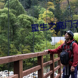 重生之高门子弟 （解禁）