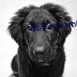 幽浮2steam叫什么 （出入人罪）