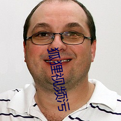 狐狸视频污 （延津之合）