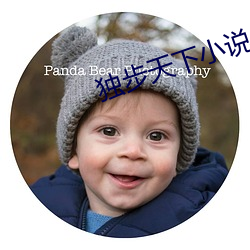 独步天下小说
