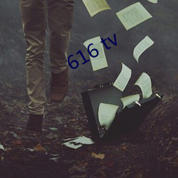 616 tv （犬马之养）