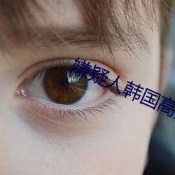 嫌疑人韩国高清完整观看免费 （退职）