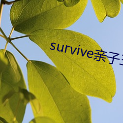 survive親子三年後
