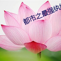 都市之最强(強)纨(纨)绔