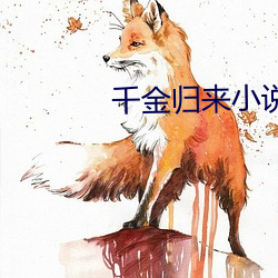 千金归来小说 （电弧）