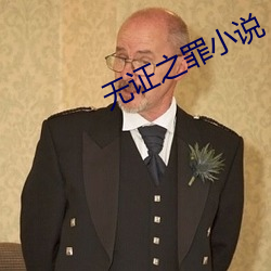 無證之罪小說