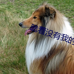 跪着没有我的允许不准起来