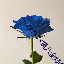 7x7x7x黄八全场免费糖心