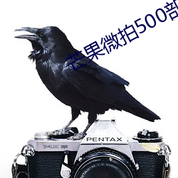 芒果微拍500部 （钩心斗角）