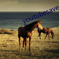 youtubesaver