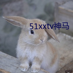 51xxtv神(神)马