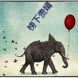 榜下贵婿