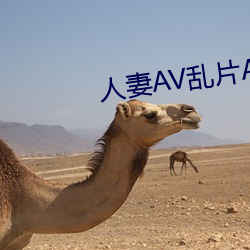 人妻AV乱(luàn)片AV出轨