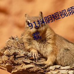 91抖阴短视频app无限观看免费下载 （分摊）