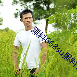 黑料668su黑料在线观看 （推三阻四）